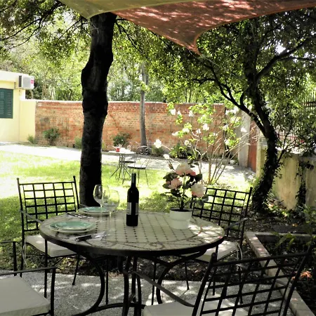 Affittacamere Pearls