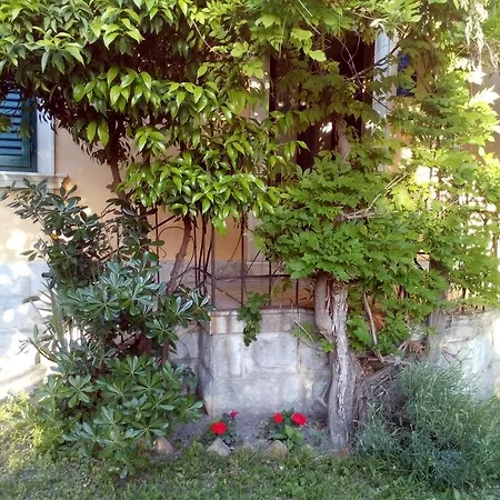 Affittacamere Pearls 3*